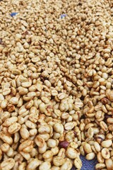 Close up of coffee beans drying in the sun          