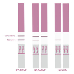 HCG Pink Pregnancy Test Stick Displaying All Possible Outcomes, Fertility, Health, and Medical Diagnostics