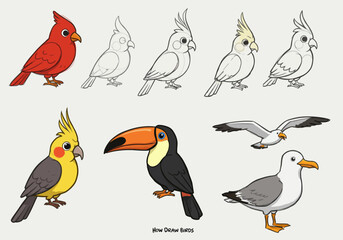 Cartoon Birds Cardinal Cockatiels Toucan and Seagulls in Various Stages of Completion