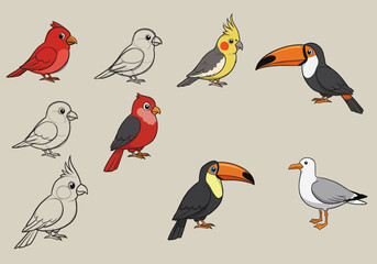 Colorful Bird Illustrations Red Cardinals Cockatiels Toucans and a Seagull