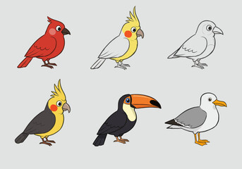 Colorful Cartoon Birds Cardinal Cockatiel Dove Toucan and Seagull Illustrations