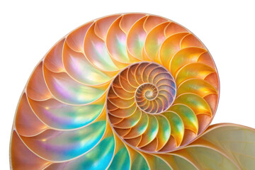 Obraz premium PNG Iridescent nautilus shell spiral close-up with vibrant colors