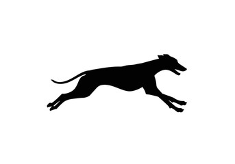 Dynamic Silhouette of a Greyhound in Full Running Stride
