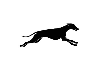 Sleek Black Greyhound in Full Flight Silhouette
