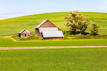 USA, Washington State, Eastern Washington,  Palouse Region. Colfax.