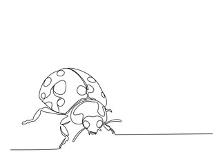 Ladybug single outline illustration. Continuous line art drawing of ladybird. Editable stroke.