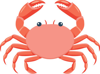 crab isolated on white background