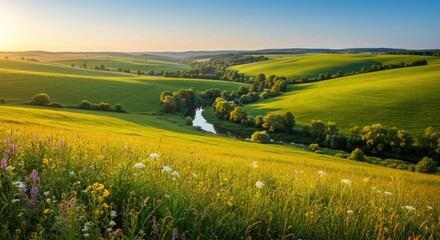 Lush green valley at sunset
