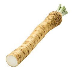 Exploring the Horseradish Root A Detailed Look at its Unique Characteristics, Culinary Uses, and Nutritional Benefits