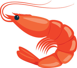 vector illustration of shrimp