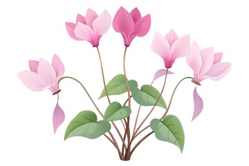 Fototapeta premium pink flower isolated on white