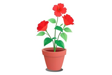 flower in a pot