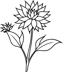 Cornflower flower plant outline line art illustration, coloring book page