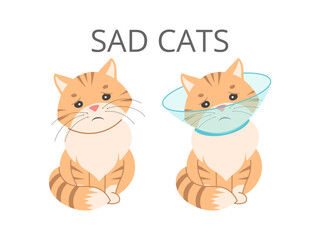 Adorable cartoon cats with sad expressions, wearing medical masks and bandages. Perfect for pet care, health, or emotional support designs.
