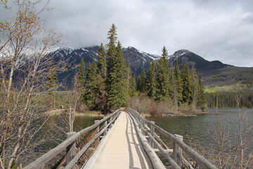 wooden bridge over lake, Jasper National Park, Alberta