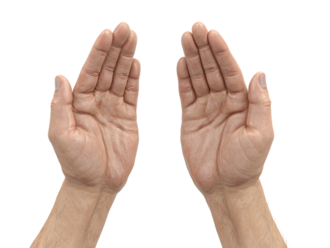 Closeup of Two Wet Hands Against Transparent Background, PNG