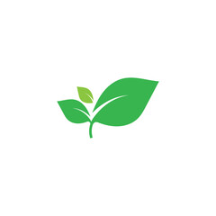leaf ecology  logo and vector template