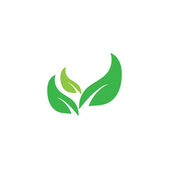 leaf ecology  logo and vector template