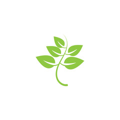 leaf ecology  logo and vector template