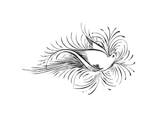 Download Elegant Single Bird Outline Logo SVG – Minimalist Avian Icon & Vector Design for Nature-Inspired Branding