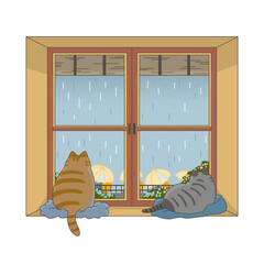 猫　窓　雨　梅雨　ネコ