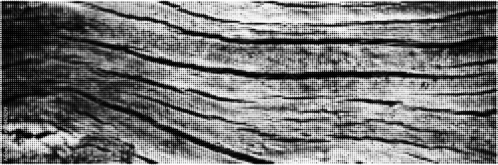 Poster grunge natural texture halftone background displaying wood pattern. modern overlay print. vector gra