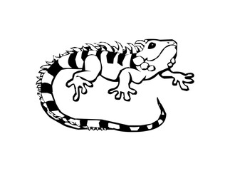 Stylish Reptile Icon Logo Design – Detailed SVG Image File for Branding, Wildlife Themes, Nature Projects, and Digital Art