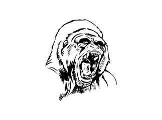 Attractive Animal Faces SVG Icons – Vector Logos & Designs for Cricut, Silhouette, and Digital Downloads