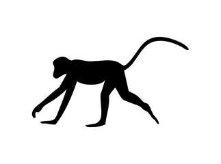 Monkey Face SVG Icons – Vector Logos & Designs for Cricut, Silhouette, and Digital Downloads | Cute Monkey Clipart