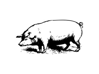 Adorable Cute Pig SVG Clipart – Farm Animal Vector for Cricut & Silhouette | Kawaii Piglet Digital Download