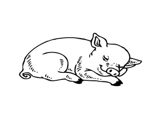 Adorable Cute Pig SVG Clipart – Farm Animal Vector for Cricut & Silhouette | Kawaii Piglet Digital Download