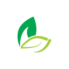 leaf ecology  logo and vector template