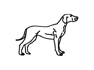 Download Dog Black Outline Logo SVG – Minimalist Canine Silhouette Icon & Clean Vector Design for Pet Branding Projects