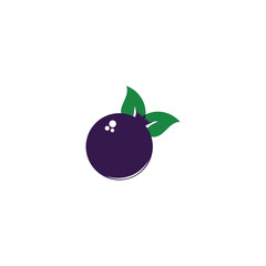 blueberry logo and vector template