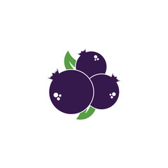 blueberry logo and vector template
