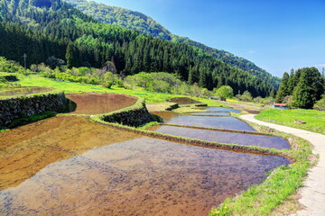 福島棚田