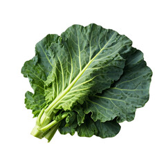 Vibrant Green Collard Greens: A Detailed Look at their Leafy Structure,  Nutritional Benefits, and Culinary Uses,  Offering Fresh Insights into this Healthy Vegetable.