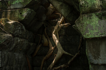 Mysterious Jungle Temple of Beng Mealea with Fallen Blocks
