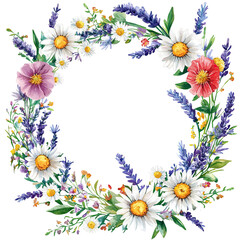 Fototapeta premium Floral Wreath with Daisies Lavender and Poppies Isolated Transparent PNG Background a Natural Watercolor Illustration and Pretty Design
