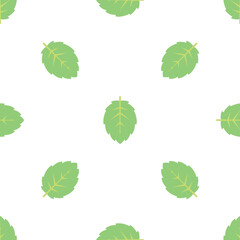 Seamless vector pattern with fresh green mint leaves on white background