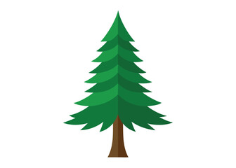 douglas-fir-isolated-on-white-background--close-up.eps
