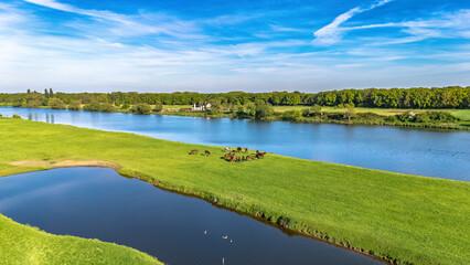 Aerial drone view of typical Dutch countryside landscape with green meadow, horses and waterfowls, peaceful rural landscape with river Meuse in spring, the Netherlands