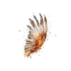 Abstract Bird Wing Fragment Exploding Feathers in Motion