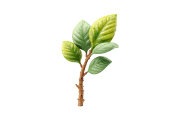 PNG Fresh greenery: realistic tree branch with lush leaves on black background