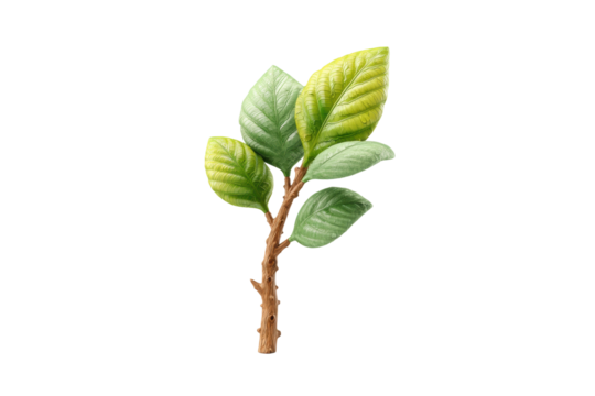 PNG Fresh greenery: realistic tree branch with lush leaves on black background