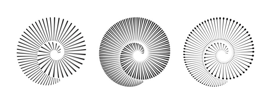 Spiraling radiance, Fibonacci trio, vortex geometric vector illustrations.