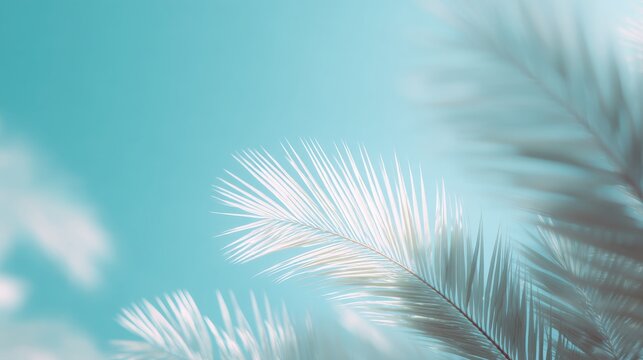 Tropical Palm Leaves Softly Blurred Bright Summer Light Pastel Sky