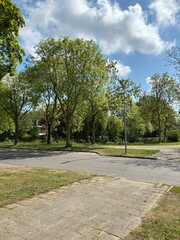 Serene Canopy Walk: A Shaded Path Through Lush Green Trees tranquil embrace of nature with this inviting photograph of a tree-lined path