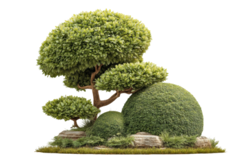 PNG Lush green topiary artistry: beautifully shaped trees and bushes in a serene garden