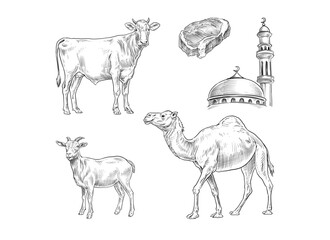 eid al adha hand drawn vector pack illustration
